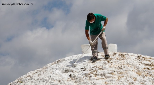 SARNIÇLAR BAKIMA ALINDI