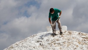 SARNIÇLAR BAKIMA ALINDI