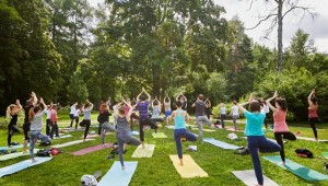 Şimdi hareket zamanı