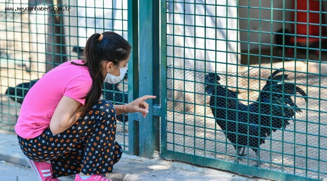 SİNCAN HAYVANAT BAHÇESİ ZİYARETÇİLERİNİ BEKLİYOR 