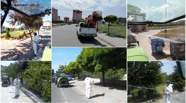 SİNEK VE HAŞERELERE KARŞI İLAÇLAMA