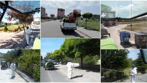 SİNEK VE HAŞERELERE KARŞI İLAÇLAMA