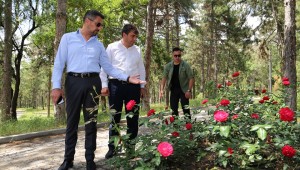 SİVRİHİSAR'DA PARK YENİLEME VE ÇİÇEKLENDİRME ÇALIŞMALARI 