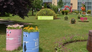 TEPEBAŞI ÇİÇEKLER İLE RENGARENK