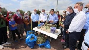 Tütüncü'den çiftçiye çifte müjde