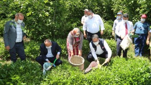 VONA ÇAYI ORTAR MARKASI İLE SATILACAK