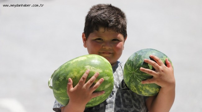 YKS ÖNCESİ ÖĞRENCİLERE KARPUZ DOPİNGİ