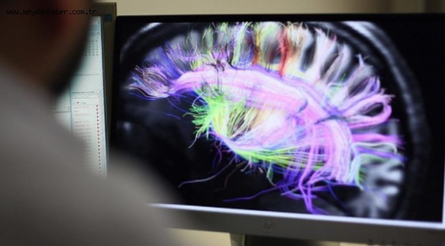 ABD'de 'beyin yiyen amip' vakasına rastlandı