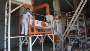 AKYURT'TA TOHUM ELEME TESİSİ SEZONA HAZIR