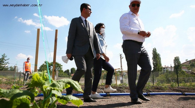 ​​BELEDİYE BOSTANINDA TURFANDAYI BAŞKAN ALTINOK YAPTI