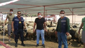 BUCA KURBAN SATIŞ NOKTASI 0545 521 35 21