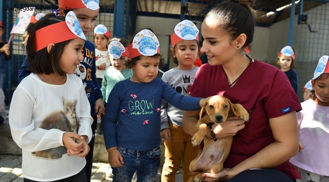 Büyükşehir'den bin 500 köpeğe rehabilitasyon merkezi