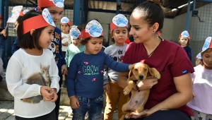 Büyükşehir'den bin 500 köpeğe rehabilitasyon merkezi