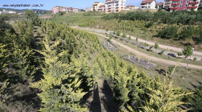 Büyükşehir'den park ve bahçelere 38 milyonluk yatırım