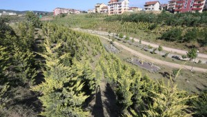Büyükşehir'den park ve bahçelere 38 milyonluk yatırım