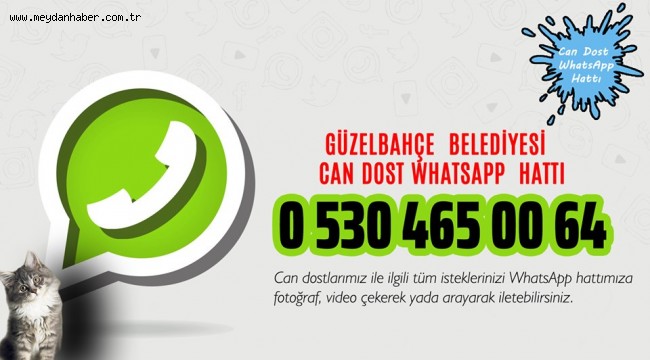 'Can Dost WhatsApp Hattı' Hizmette