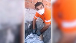 Gaziemir Belediyesi çalışanları yavru kedinin hayatını kurtardı