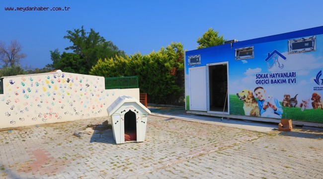 Güzelbahçe Belediyesi'nden Can Dostlara Yeni Yuva