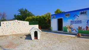 Güzelbahçe Belediyesi'nden Can Dostlara Yeni Yuva