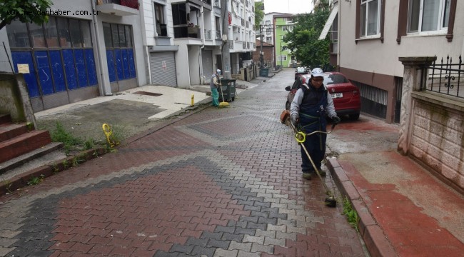İzmit Belediyesi ot temizliğinden yarım milyon tasarruf sağladı