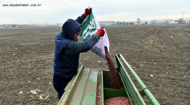 MACAR FİĞ TOHUMU DESTEĞİ İÇİN BAŞVURU REKORU