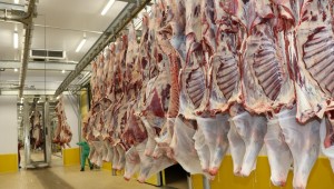 Mezbahalar salgın sürecinde hizmet verdi