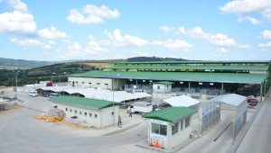 Modern Hayvan Pazarı'nda ön kayıtlar 1 Temmuz'da başlıyor