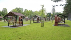 Regülatör yenileniyor