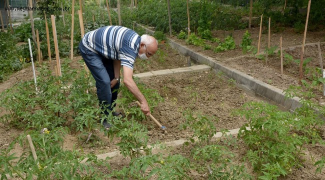 ÜRETMENİN KEYFİNİ GÖNÜLLÜ BAHÇELERİNDE YAŞIYORLAR