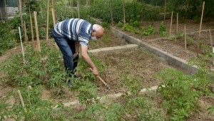 ÜRETMENİN KEYFİNİ GÖNÜLLÜ BAHÇELERİNDE YAŞIYORLAR