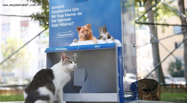 Can Dostlara MamaMatik hizmeti