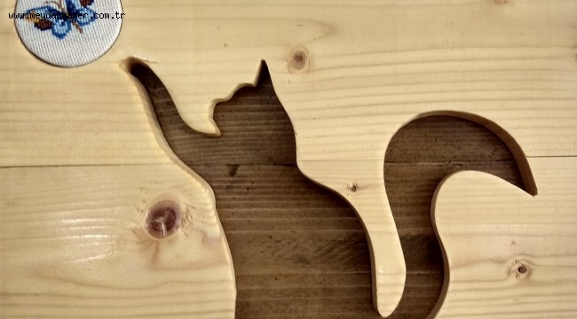 İKİ HOBİDEN BİR SANAT YARATTI