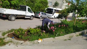 KARESİ'DE YEŞİL ALANLARIN VE KENT MOBİLYALARININ BAKIMI YAPILIYOR