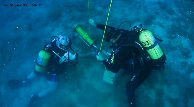Kırmızı Mercanlar koruma altında