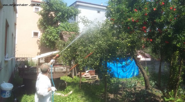 AMERİKAN BEYAZ KELEBEĞİ İLE MÜCADELE UYARISI