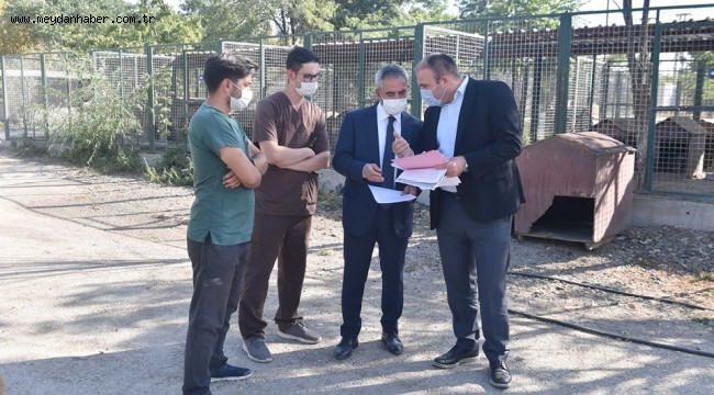 ANKARA-BÜYÜKŞEHİR BARINAKLARDA İYİLEŞTİRME ÇALIŞMALARINA DEVAM EDİYOR