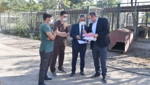 ANKARA-BÜYÜKŞEHİR BARINAKLARDA İYİLEŞTİRME ÇALIŞMALARINA DEVAM EDİYOR