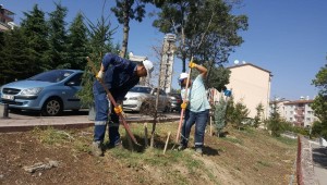 BAŞKAN ALTINOK: HERKESİN BİR DİKİLİ AĞACI OLACAK