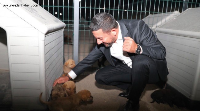 BAŞKAN ARI, HAYVAN KASABASI'NDA İNCELEMELERDE BULUNDU