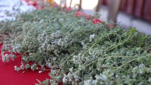 BAŞKAN ATAY EFELER'DE BİR İLKİ GERÇEKLEŞTİRDİ