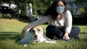 BEŞİKTAŞ BELEDİYESİ CAN DOSTLARI EFE'YE ÖZEL KAPI YAPTI