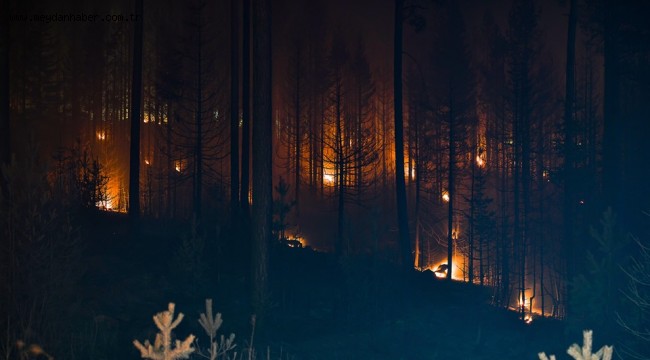 BEYPAZARI'NDA KORKUTAN YANGIN!!