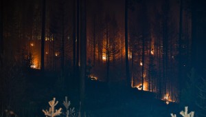 BEYPAZARI'NDA KORKUTAN YANGIN!!