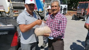 Bozkurt Belediye Başkanı Birsen Çelik'in 14 Mayıs Çiftçiler Günü'nde açıkladığı tarım projesi, ilk ürünleri verdi