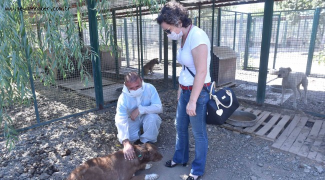 BÜYÜKŞEHİR'DEN YENİ BARINAK MÜJDESİ