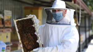 Büyükşehir'e ödül