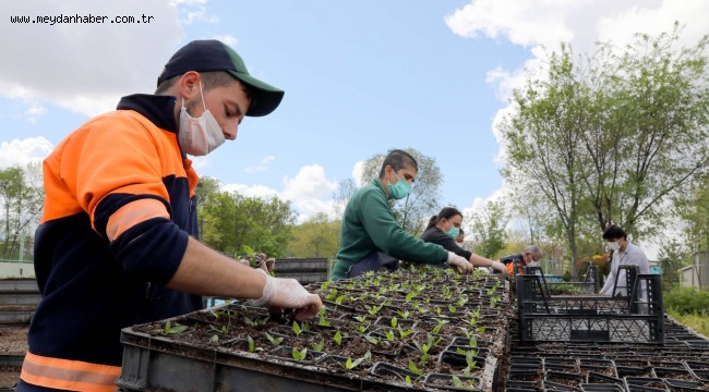 ÇANSERA'DA ÜRETİME DEVAM