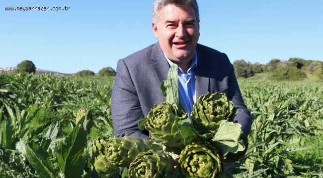 Çeşme Belediyesi'nden tarım hamlesi;  "Tarımsal Hizmetler Müdürlüğü"!  