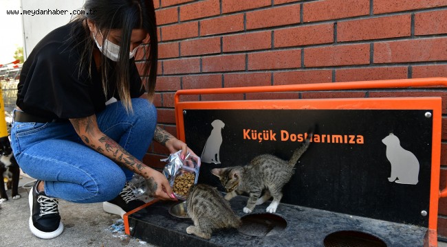 Çiğli Belediyesi Sokak Sakinlerini Unutmadı