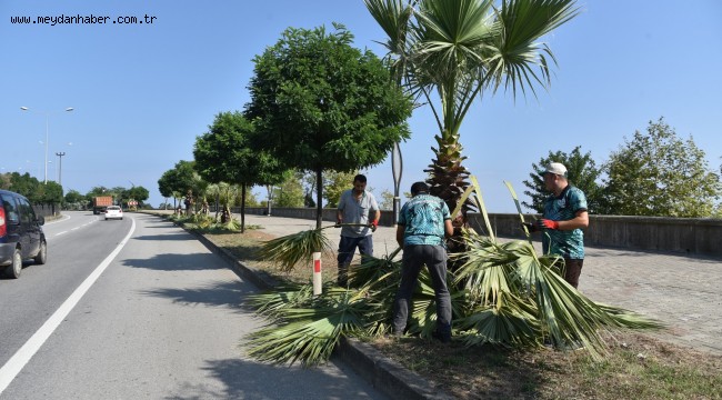 DAHA YEŞİL BİR GİRESUN İÇİN ÇALIŞIYORUZ